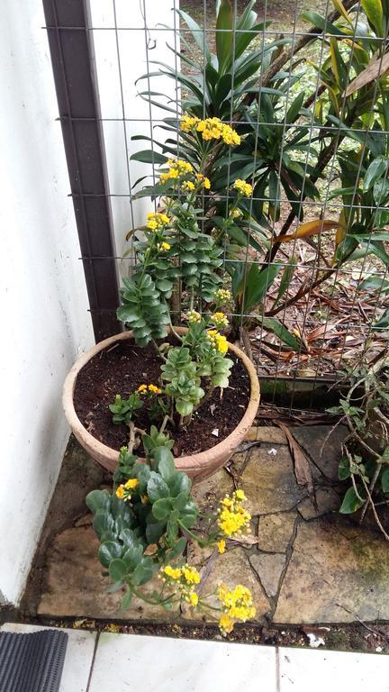 Pousada Três Coroas מראה חיצוני תמונה
